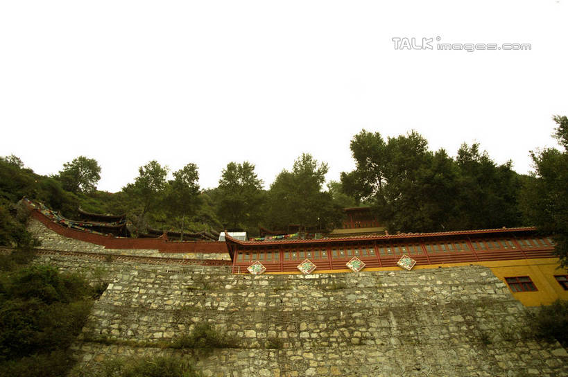 无人,横图,室外,白天,仰视,旅游,度假,石头,美景,森林,树林,植物,香格里拉,中国,亚洲,阴影,光线,石子,影子,墙,景观,娱乐,墙壁,墙面,树,树木,绿色,阳光,自然,享受,休闲,景色,放松,四川省,生长,成长,自然风光,东亚,四川,稻城,甘孜藏族自治州,中华人民共和国,西南地区,川,甘孜,甘孜州,石块,彩图,低角度拍摄,稻城县,shzwj1