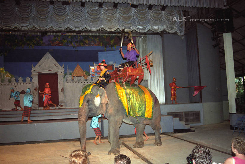 东方人,观众,舞台,站,坐,横图,室内,白天,正面,戏服,游戏,哺乳动物,大象,野生动物,亚洲,一排,表演,服装,整齐,许多人,玩,注视,黄种人,娱乐,排列,衣服,动物,背景墙,观察,看,站着,一群人,休闲,服饰,帷幕,观看,活动,装饰墙,察看,衣着,穿着,队列,发泄,关注,消遣,智力,帷幔,幕布,角色扮演,表演服,幕帘,演出服,宣泄,衣饰,帷幔布,演戏,道具服,男人,男性,年轻男性,年轻女性,女人,女性,亚洲人,观赏人员,象,表演台,玩耍,嬉戏,站立,坐着,半身,彩图,shzwj1