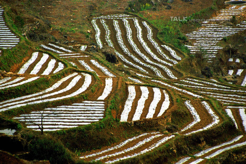 无人,农田,横图,俯视,室外,白天,旅游,度假,庄稼,梯田,农作物,石头,美景,山,山脉,植物,中国,亚洲,曲折,弯曲,石子,景观,山顶,山峰,山峦,娱乐,树,树木,绿色,自然,群山,享受,休闲,景色,放松,蜿蜒,生长,成长,自然风光,东亚,贵州,贵州省,兴义市,马岭河峡谷,中华人民共和国,黔,西南地区,黔西南,黔西南州,黔西南布依族苗族自治州,颠峰,极峰,石块,彩图,高角度拍摄,耕地,庄稼田,马岭河大峡谷,兴义,shzwj1