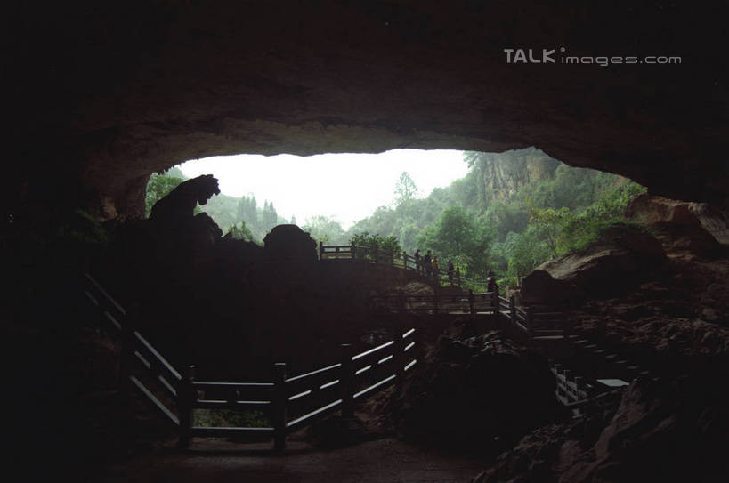 无人,栏杆,横图,室外,白天,仰视,旅游,度假,美景,森林,山,山脉,树林,植物,楼梯,昆明,中国,亚洲,阴影,光线,扶手,影子,阶梯,景观,山顶,山峰,山峦,娱乐,护栏,云南,台阶,树,树木,绿色,阳光,自然,群山,享受,休闲,景色,放松,生长,成长,自然风光,昆明市,东亚,九乡,云南省,中华人民共和国,省会,西南地区,滇,颠峰,极峰,彩图,低角度拍摄,九乡风景名胜区,九乡风景区,宜良县,shzwj1