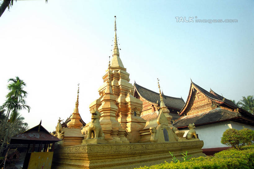 无人,家,木屋,横图,室外,白天,仰视,旅游,度假,植物,标志建筑,地标,建筑,棕榈树,叶子,西双版纳,中国,亚洲,阴影,光线,影子,绿叶,娱乐,建设,云南,住宅,树,树木,蓝色,绿色,蓝天,天空,阳光,自然,天,享受,休闲,嫩叶,旅游胜地,放松,生长,晴朗,成长,东亚,棕榈叶,傣族园,西双版纳州,云南省,万里无云,中华人民共和国,西南地区,滇,西双版纳傣族自治州,叶,叶片,晴空,晴空万里,棕树,棕榈,彩图,低角度拍摄,茅舍,茅屋,棚屋,小木屋,小屋,西双版纳傣族园,橄榄坝,shzwj1