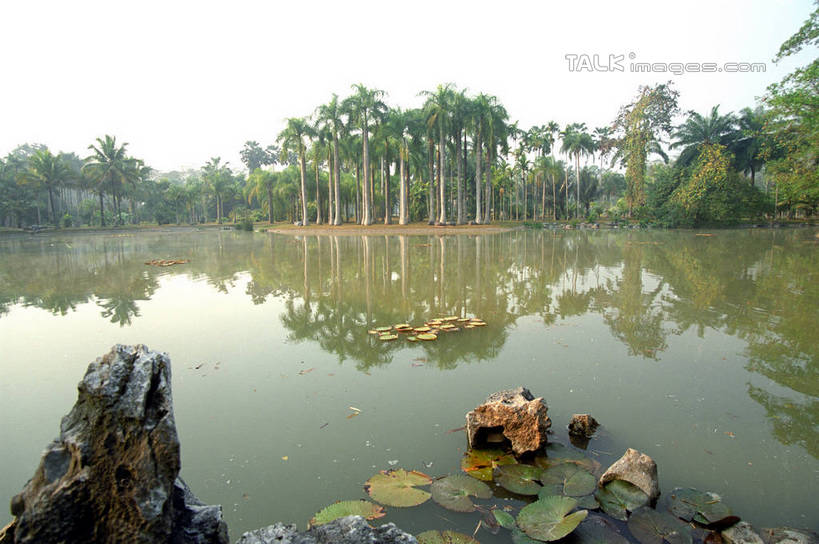 无人,横图,室外,白天,正面,旅游,度假,河流,石头,美景,水,植物,棕榈树,叶子,西双版纳,中国,亚洲,阴影,波纹,光线,石子,影子,河水,景观,水流,绿叶,涟漪,娱乐,云南,树,树木,蓝色,绿色,倒影,蓝天,水纹,天空,阳光,自然,波浪,天,享受,休闲,嫩叶,景色,放松,生长,晴朗,成长,倒映,自然风光,东亚,棕榈叶,傣族园,西双版纳州,云南省,万里无云,中华人民共和国,水晕,西南地区,滇,西双版纳傣族自治州,反照,叶,叶片,石块,晴空,晴空万里,棕树,棕榈,彩图,西双版纳傣族园,橄榄坝,shzwj1