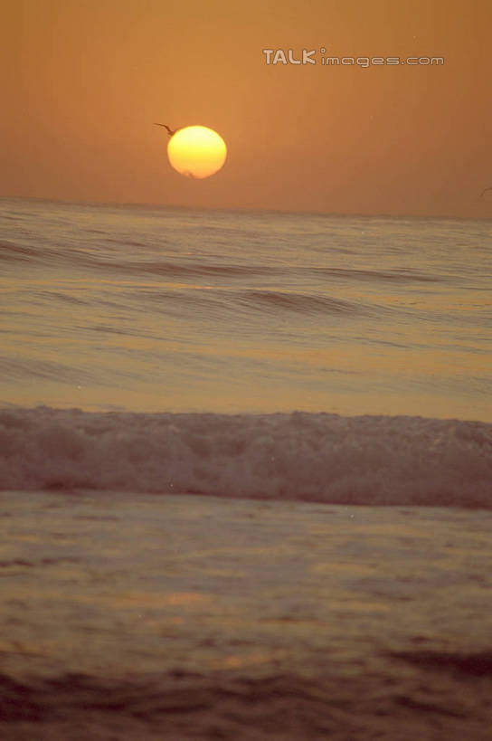 无人,竖图,室外,白天,正面,旅游,度假,海浪,海洋,美景,日落,沙滩,澳大利亚,阴影,光线,沙子,影子,海岸,景观,浪花,水平线,晚霞,霞光,落日,辽阔,海平线,沙地,娱乐,倒影,阳光,自然,海水,黄昏,享受,休闲,广阔,景色,彩霞,放松,一望无际,倒映,自然风光,大洋洲,澳洲,海景,黄金海岸,昆士兰州,南方大陆,澳大利亚联邦,昆士兰,无边无际,一马平川,夕照,反照,薄暮,澳大利亚黄金海岸,大海,风浪,海,海水的波动,海滩,近岸浪,涌浪,夕阳,彩图,傍晚,水天相接,水天一线,斜阳,shzwj1