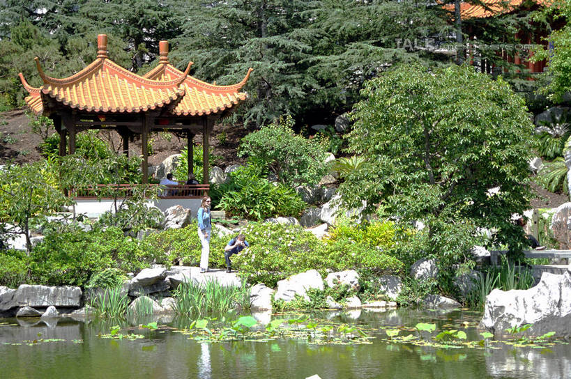 无人,横图,室外,白天,正面,旅游,度假,河流,石头,森林,树林,水,植物,标志建筑,地标,建筑,澳大利亚,阴影,光线,石子,瓦片,影子,亭子,屋顶,河水,水流,顶棚,瓦,娱乐,建设,树,树木,绿色,阳光,自然,凉亭,享受,休闲,旅游胜地,放松,建造,生长,成长,大洋洲,悉尼,澳洲,屋瓦,南方大陆,首府,澳大利亚联邦,雪梨,新州,新南威尔士,新南威尔士州,达令港,情人港,石块,彩图,悉尼谊园,shzwj1