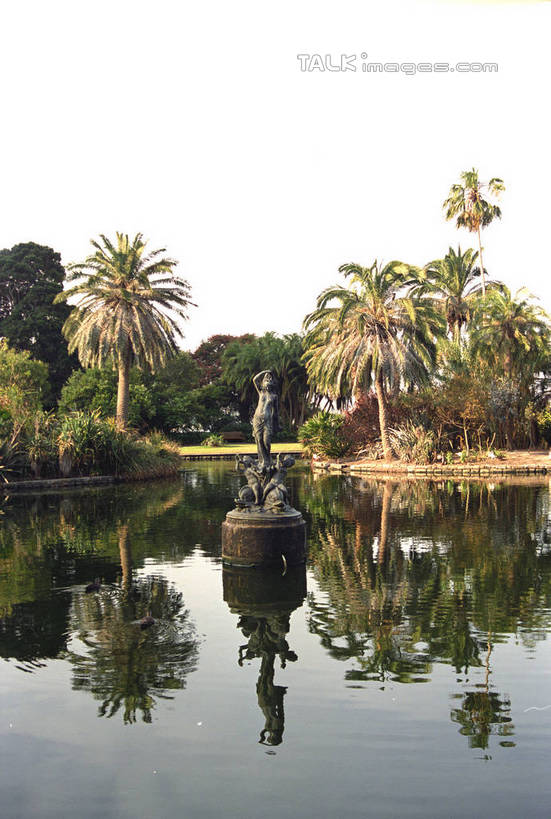 无人,竖图,室外,白天,正面,旅游,度假,湖,湖泊,水,植物,标志建筑,地标,建筑,棕榈树,叶子,澳大利亚,阴影,波纹,光线,影子,湖面,水流,水面,绿叶,涟漪,娱乐,建设,树,树木,蓝色,绿色,倒影,蓝天,水纹,天空,阳光,自然,波浪,湖水,天,享受,休闲,嫩叶,旅游胜地,放松,生长,晴朗,成长,倒映,大洋洲,悉尼,澳洲,棕榈叶,万里无云,南方大陆,首府,水晕,澳大利亚联邦,雪梨,新州,新南威尔士,新南威尔士州,反照,达令港,情人港,叶,叶片,晴空,晴空万里,棕树,棕榈,彩图,悉尼谊园,shzwj1