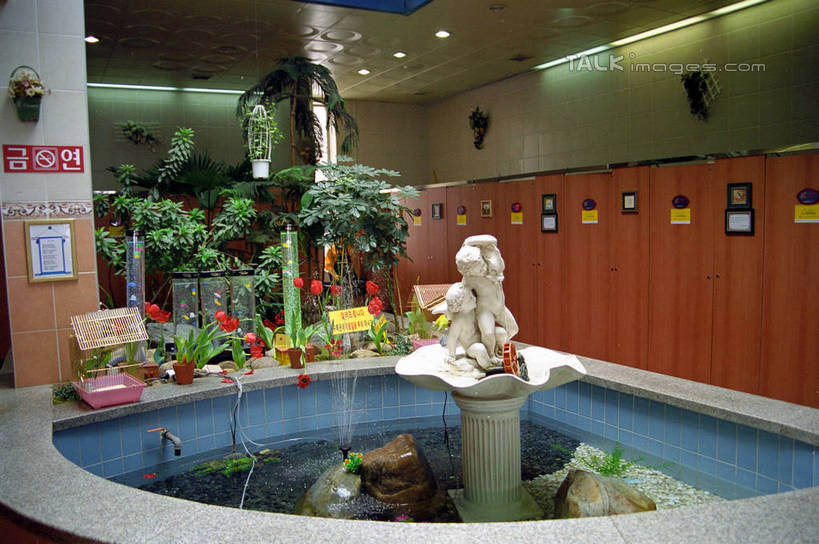 无人,横图,室内,白天,正面,水,植物,卫生间,洗手间,喷泉,雕塑,韩国,亚洲,飞溅,艺术,装饰,溅,雕刻,雕像,液体,景观,水滴,文化,水珠,树,树木,绿色,自然,工艺品,品味,生长,成长,纪念,美术,喷洒,主题,水景,陈列,公厕,公共厕所,东亚,功能,美学,美观,大韩民国,设计,厕所,彩图,shzwj1