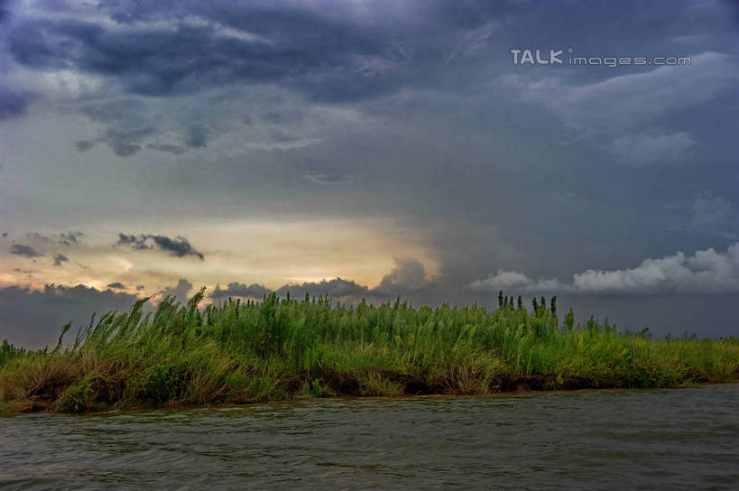 无人,横图,室外,白天,正面,旅游,度假,日出,湖,湖泊,美景,水,太阳,芦苇,叶子,上海,中国,亚洲,阴影,光线,影子,湖面,景观,水流,水面,云,云朵,粽叶,绿叶,朝霞,晨曦,黎明,云彩,娱乐,白云,阳光,自然,湖水,沙洲,享受,休闲,嫩叶,景色,放松,申,自然风光,青草沙,东亚,上海市,长兴岛,中华人民共和国,沪,华东地区,箬叶,芦苇叶,崇明县,叶,叶片,朝阳,彩图,卯时,破晓,日始,冲积沙洲,固定沙,shzxz1