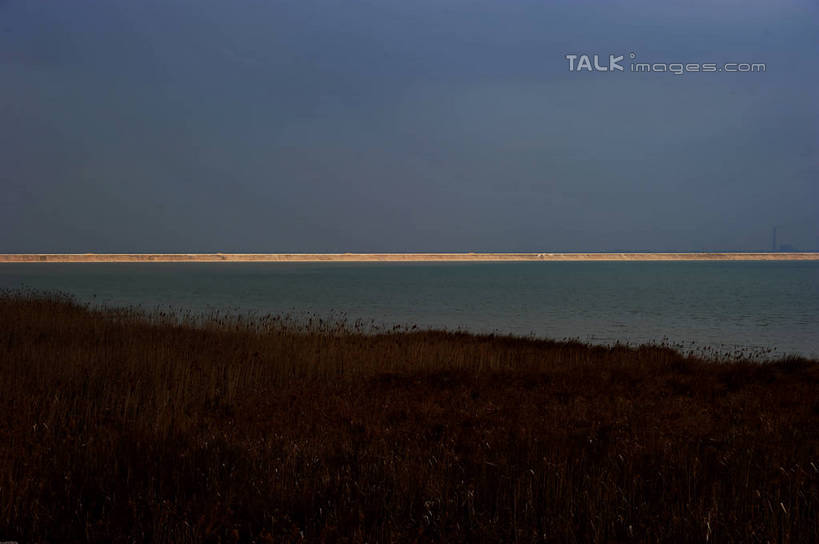 无人,横图,室外,白天,正面,旅游,度假,湖,湖泊,美景,日落,水,芦苇,上海,中国,亚洲,阴影,光线,影子,地平线,湖面,景观,水流,水面,晚霞,霞光,落日,辽阔,地面,娱乐,阳光,自然,黄昏,湖水,沙洲,享受,休闲,广阔,景色,彩霞,放松,一望无际,申,自然风光,延伸,青草沙,东亚,上海市,长兴岛,中华人民共和国,天地相交,沪,华东地区,崇明县,芦芛,无边无际,一马平川,夕照,芦,芦花,苇,薄暮,夕阳,彩图,傍晚,冲积沙洲,崇明,固定沙,斜阳,shzxz1