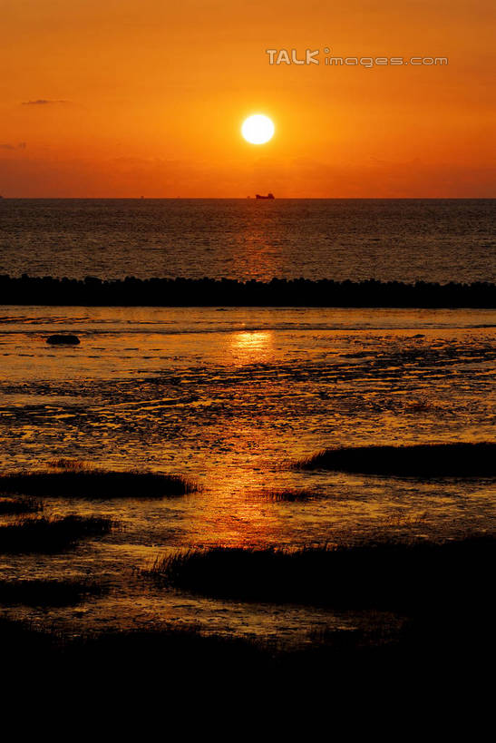 无人,公园,竖图,室外,白天,正面,旅游,度假,海浪,海洋,美景,日落,沙滩,上海,中国,亚洲,阴影,朦胧,模糊,光线,沙子,影子,海岸,景观,浪花,水平线,晚霞,霞光,落日,辽阔,海平线,沙地,背光,娱乐,浦东,阳光,自然,海水,黄昏,享受,休闲,广阔,景色,彩霞,放松,一望无际,申,自然风光,逆光,海景,浦东新区,东亚,上海市,南汇嘴观海公园,中华人民共和国,沪,华东地区,无边无际,一马平川,夕照,薄暮,大海,风浪,海,海水的波动,海滩,近岸浪,涌浪,夕阳,彩图,傍晚,水天相接,水天一线,斜阳,南汇角,南汇嘴,shzxz1