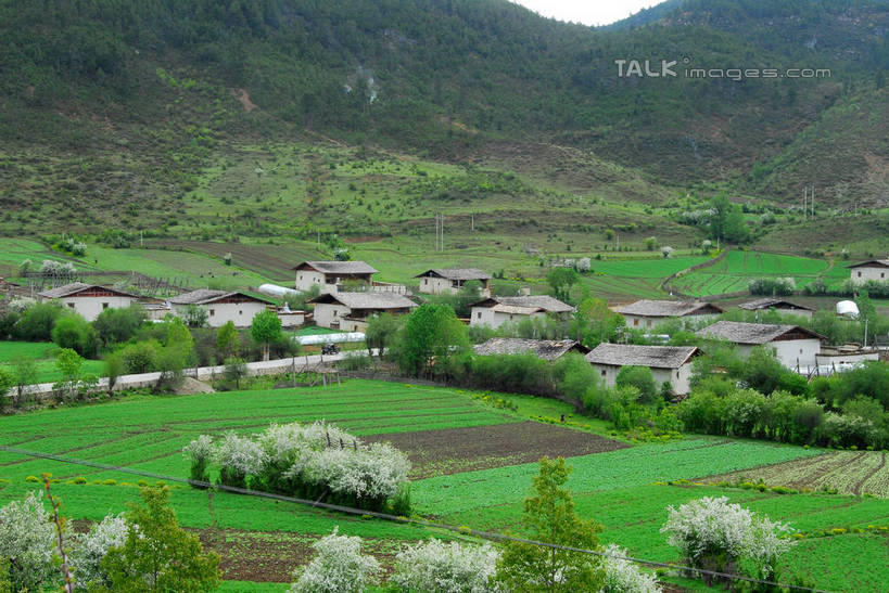 无人,家,农田,横图,俯视,室外,白天,旅游,度假,庄稼,农作物,草地,草坪,美景,山,山脉,植物,香格里拉,中国,亚洲,房屋,屋子,景观,山峰,公寓,山峦,娱乐,洋房,楼房,迪庆,云南,住宅,草,树,树木,绿色,自然,群山,享受,休闲,景色,放松,生长,成长,自然风光,东亚,中甸,迪庆藏族自治州,云南省,中华人民共和国,西南地区,滇,迪庆州,香格里拉县,彩图,高角度拍摄,耕地,庄稼田,房子,shzxz1