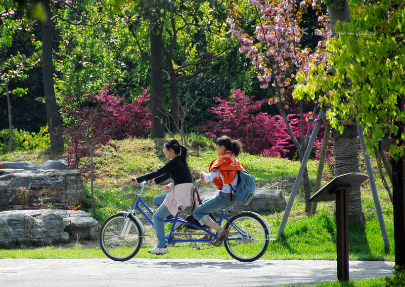 东方人,两个人,伙伴,朋友,坐,横图,室外,白天,侧面,友谊,草地,草坪,植物,自行车,亚洲,一辆,握,阴影,服装,光线,影子,注视,休闲装,黄种人,车,脚踏车,草,树,树木,骑,衣服,绿色,阳光,自然,交通工具,观察,看,骑车,休闲,休闲服,握着,双人自行车,生长,成长,观看,察看,关注,载具,友情,年轻女性,女人,女性,亚洲人,坐着,彩图,全身,shzxz1