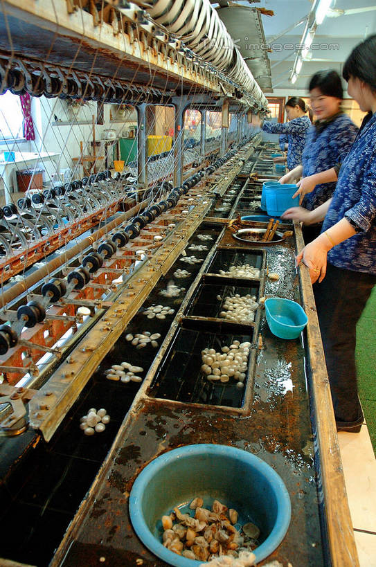 东方人,三个人,伙伴,朋友,工厂,站,搬运,竖图,室外,白天,侧面,工作服,制服,友谊,合作,团队,流水线,纺织品,亚洲,一排,握,整齐,传输,蚕蛹,布,丝绸,绸缎,织物,拿,拿着,注视,黄种人,排列,工人,低头,观察,看,站着,战略,握着,运输,观看,布匹,传送带,察看,便利,传送,队列,关注,载具,传输带,联合,合谋,方便,工作制服,配合,协作,年轻女性,女人,女性,亚洲人,员工,站立,半身,彩图,工作套服,工地,制造厂,匠人,劳动者,体力工,shzxz1