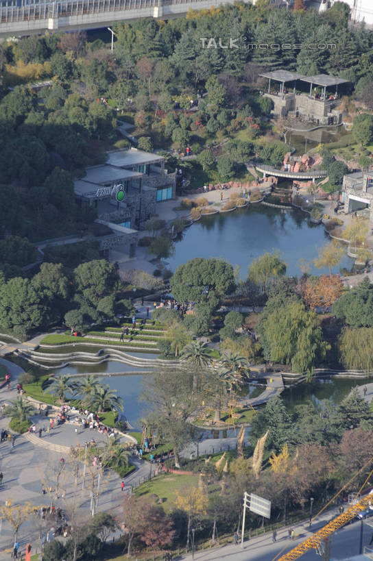 无人,公园,竖图,俯视,航拍,室外,白天,旅游,度假,湖,湖泊,美景,森林,树林,水,植物,上海,中国,亚洲,阴影,光线,影子,湖面,景观,水流,水面,娱乐,浦东,树,树木,绿色,阳光,自然,湖水,享受,休闲,景色,放松,生长,成长,申,鸟瞰,自然风光,浦东新区,东亚,森林公园,上海滨江森林公园,上海市,中华人民共和国,沪,华东地区,彩图,高角度拍摄,滨江森林公园,高桥镇,shzxz1