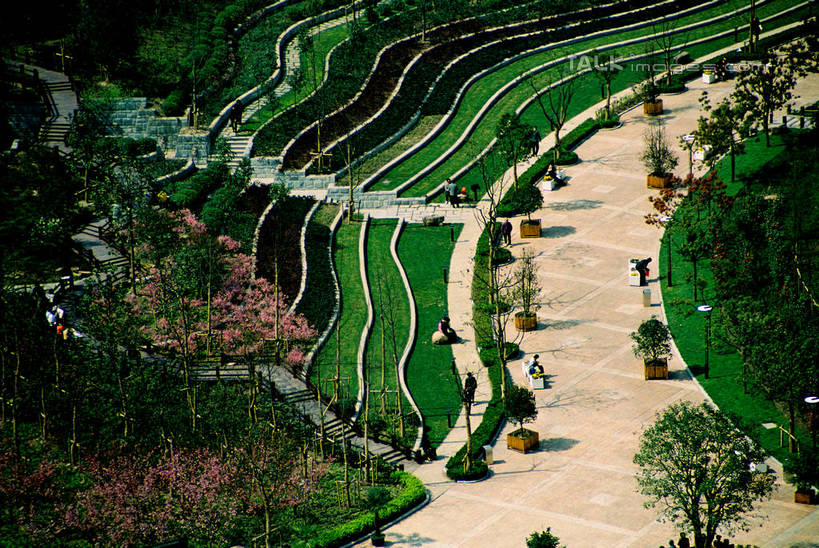 无人,横图,俯视,航拍,室外,白天,旅游,度假,草地,草坪,美景,植物,道路,路,公路,上海,中国,亚洲,阴影,盛开,光线,影子,景观,交通,花蕾,娱乐,草,花,花瓣,花朵,鲜花,树,树木,绿色,阳光,自然,花苞,花蕊,享受,休闲,景色,放松,生长,成长,申,鸟瞰,自然风光,东亚,普陀区,长寿公园,长寿路,上海市,中华人民共和国,沪,华东地区,马路,彩图,高角度拍摄,劳勃生路,shzxz1