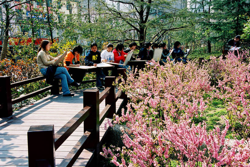 东方人,栏杆,坐,横图,室外,白天,正面,旅游,度假,草地,草坪,美景,植物,上海,中国,亚洲,行人,游客,游人,阴影,服装,盛开,光线,木板,影子,景观,围栏,桥,木桥,许多人,花蕾,休闲装,黄种人,娱乐,护栏,路人,旅客,栈桥,草,花,花瓣,花朵,鲜花,树,树木,衣服,绿色,阳光,自然,花苞,花蕊,一群人,享受,休闲,休闲服,景色,放松,服饰,生长,成长,人行桥,木板桥,申,自然风光,东亚,普陀区,长寿公园,长寿路,上海市,中华人民共和国,沪,华东地区,过客,男人,男性,年轻男性,年轻女性,女人,女性,亚洲人,坐着,彩图,全身,劳勃生路,shzxz1