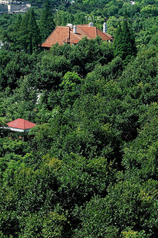 无人,家,竖图,俯视,航拍,室外,白天,旅游,度假,美景,树林,植物,城市风光,城市,建筑,上海,中国,亚洲,阴影,光线,影子,房屋,屋子,景观,公寓,娱乐,建设,洋房,楼房,住宅,树,树木,绿色,阳光,自然,享受,休闲,景色,放松,生长,成长,申,鸟瞰,东亚,徐汇区,上海市,衡山路,中华人民共和国,沪,华东地区,彩图,高角度拍摄,房子,shzxz1