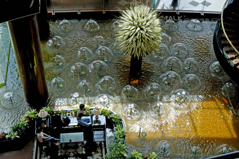 东方人,栏杆,走,横图,俯视,室内,白天,度假,美景,植物,楼梯,城市风光,城市,电梯,上海,中国,亚洲,行人,游客,游人,服装,扶手,盆栽,电动扶梯,阶梯,景观,盆景,自动扶梯,运输工具,许多人,休闲装,黄种人,娱乐,护栏,路人,旅客,台阶,衣服,绿色,自然,一群人,享受,休闲,休闲服,景色,放松,服饰,徐家汇,生长,成长,申,东亚,徐汇区,华亭宾馆,上海市,中华人民共和国,沪,华东地区,过客,男人,男性,年轻男性,年轻女性,女人,女性,亚洲人,步行,散步,走路,彩图,高角度拍摄,全身,客店,客栈,旅店,旅馆,旅舍,上海华亭宾馆,扶手电梯,升降设备,运输带,自动行人电梯,电扶梯,shzxz1