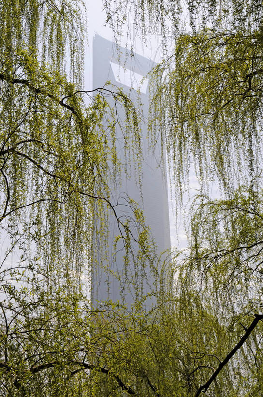 无人,高楼大厦,竖图,室外,白天,仰视,度假,美景,植物,城市风光,标志建筑,城市,大厦,地标,建筑,摩天大楼,柳树,上海,中国,亚洲,景观,娱乐,建设,浦东,垂柳,树,树木,绿色,自然,享受,休闲,景色,放松,环球金融中心,生长,成长,申,柏悦酒店,金融中心,陆家嘴,陆家嘴金融贸易区,浦东新区,上海环球金融中心,东亚,上海市,中华人民共和国,沪,华东地区,倒挂柳,环球金融中心大厦,垂枝柳,彩图,低角度拍摄,大楼,高层建筑,高楼,摩天楼,shzxz1