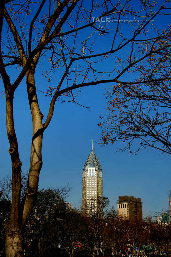 无人,高楼大厦,竖图,室外,白天,仰视,度假,美景,植物,城市风光,标志建筑,城市,大厦,地标,建筑,摩天大楼,上海,中国,亚洲,阴影,光线,影子,景观,娱乐,建设,树,树木,蓝色,绿色,蓝天,天空,阳光,自然,天,享受,休闲,景色,放松,生长,晴朗,成长,申,黄浦区,东亚,上海市,光明大厦,万里无云,中华人民共和国,沪,华东地区,晴空,晴空万里,彩图,低角度拍摄,大楼,高层建筑,高楼,摩天楼,金陵东路,shzxz1