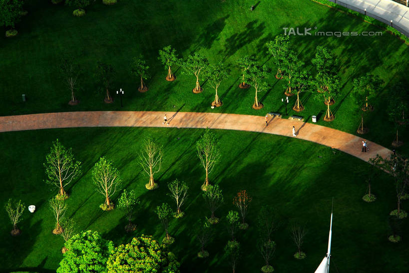 无人,横图,俯视,航拍,室外,白天,度假,草地,草坪,美景,植物,城市风光,城市,道路,路,上海,中国,亚洲,阴影,光线,影子,景观,小路,交通,娱乐,浦东,草,树,树木,绿色,阳光,自然,享受,休闲,景色,放松,生长,成长,申,鸟瞰,陆家嘴,浦东新区,东亚,上海市,中华人民共和国,沪,华东地区,陆家嘴中心绿地,上海陆家嘴中心绿地,彩图,高角度拍摄,shzxz1