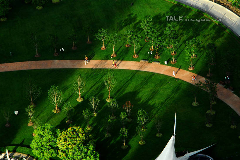 无人,横图,俯视,航拍,室外,白天,度假,草地,草坪,美景,植物,城市风光,城市,道路,路,上海,中国,亚洲,阴影,光线,影子,景观,小路,交通,娱乐,浦东,草,树,树木,绿色,阳光,自然,享受,休闲,景色,放松,生长,成长,申,鸟瞰,陆家嘴,浦东新区,东亚,上海市,中华人民共和国,沪,华东地区,陆家嘴中心绿地,上海陆家嘴中心绿地,彩图,高角度拍摄,shzxz1