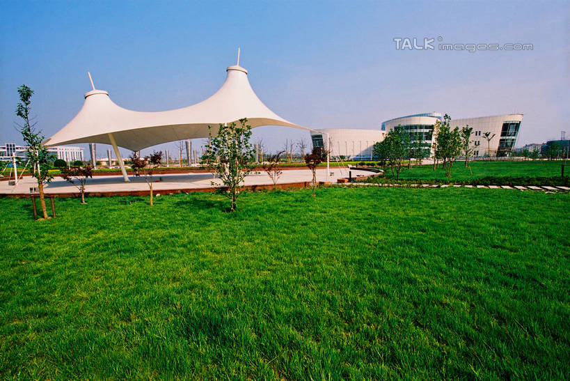 无人,高楼大厦,横图,室外,白天,仰视,度假,草地,草坪,美景,植物,城市风光,城市,大厦,建筑,摩天大楼,上海,中国,亚洲,阴影,光线,影子,景观,娱乐,建设,浦东,草,树,树木,蓝色,绿色,蓝天,天空,阳光,自然,天,享受,休闲,景色,放松,生长,晴朗,成长,申,陆家嘴,浦东新区,东亚,上海市,万里无云,中华人民共和国,沪,华东地区,陆家嘴中心绿地,上海陆家嘴中心绿地,晴空,晴空万里,彩图,低角度拍摄,大楼,高层建筑,高楼,摩天楼,shzxz1