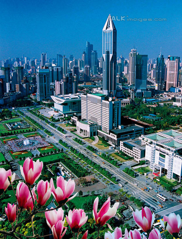 无人,高楼大厦,竖图,全景,俯视,室外,白天,度假,草地,草坪,美景,天际线,植物,城市风光,标志建筑,城市,大厦,地标,建筑,摩天大楼,玉兰花,上海,中国,亚洲,阴影,盛开,光线,影子,景观,花蕾,娱乐,建设,草,花,花瓣,花朵,鲜花,树,树木,蓝色,绿色,蓝天,天空,阳光,自然,人民广场,天,花苞,花蕊,享受,休闲,景色,放松,生长,晴朗,成长,申,黄浦区,东亚,上海市,辛夷,万里无云,中华人民共和国,沪,华东地区,木兰花,上海人民广场,晴空,晴空万里,玉兰,应春花,木兰,白玉兰,玉树,彩图,高角度拍摄,大楼,高层建筑,高楼,摩天楼,望春,上海市人民政府,人民大道,玉堂春,shzxz1