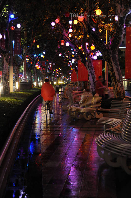 无人,竖图,室外,夜晚,正面,长时间曝光,度假,美景,植物,城市风光,城市,道路,路,夜景,公路,照明,上海,中国,亚洲,阴影,朦胧,模糊,光线,彩灯,影子,景观,灯光,交通,娱乐,灯,树,树木,绿色,自然,灯具,享受,休闲,景色,放松,花灯,生长,成长,淮海路,照亮,申,照明设备,曝光,黄浦区,东亚,淮海中路,徐汇区,上海市,中华人民共和国,沪,华东地区,马路,彩图,shzxz1