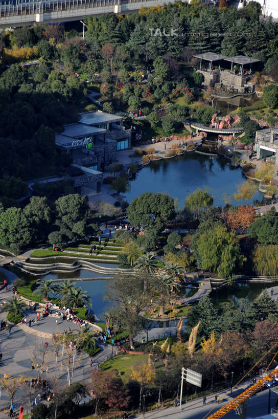 无人,竖图,俯视,航拍,室外,白天,旅游,度假,草地,草坪,河流,美景,水,植物,道路,路,公路,上海,中国,亚洲,阴影,波纹,光线,影子,河水,景观,水流,交通,涟漪,娱乐,虹口区,草,树,树木,绿色,倒影,水纹,阳光,自然,波浪,享受,休闲,景色,放松,生长,成长,申,倒映,鸟瞰,自然风光,东亚,上海市,四川北路,中华人民共和国,沪,华东地区,水晕,反照,马路,彩图,高角度拍摄,shzxz1