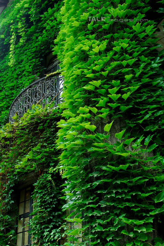 无人,家,竖图,室外,白天,正面,旅游,度假,美景,城市风光,城市,建筑,上海,中国,亚洲,房屋,屋子,景观,公寓,娱乐,建设,洋房,楼房,住宅,享受,休闲,景色,放松,申,巨鹿路,卢湾区,东亚,上海市,爱神花园,上海作家协会,中华人民共和国,沪,华东地区,彩图,房子,shzxz1