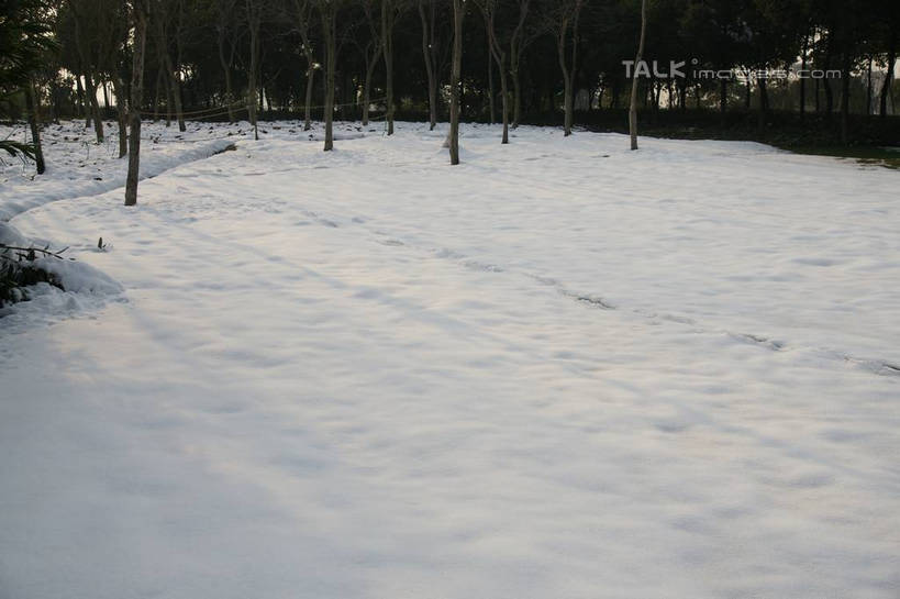 无人,横图,俯视,室外,白天,旅游,度假,美景,树林,雪,植物,大雪,上海,中国,亚洲,一排,脚印,阴影,整齐,并列,并排,光线,影子,积雪,景观,雪景,冬季,冬天,树桩,娱乐,树,树干,树木,排列,绿色,阳光,自然,享受,休闲,木桩,景色,放松,寒冷,生长,成长,申,足迹,队列,自然风光,平行,东亚,松江区,上海市,中华人民共和国,沪,华东地区,严寒,行踪,脚迹,彩图,高角度拍摄,shzyn1