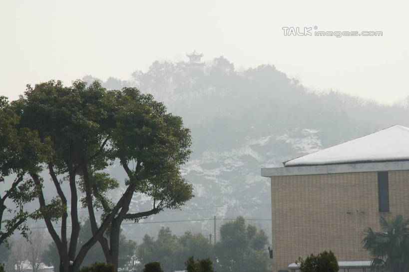 无人,家,横图,室外,白天,正面,旅游,度假,美景,森林,树林,雪,植物,雾,大雪,上海,中国,亚洲,朦胧,模糊,房屋,屋子,积雪,景观,雪景,冬季,冬天,娱乐,楼房,住宅,树,树木,绿色,天空,自然,天,享受,休闲,景色,放松,寒冷,生长,成长,申,迷雾,自然风光,东亚,松江区,上海市,中华人民共和国,沪,华东地区,严寒,大雾,彩图,房子,shzyn1