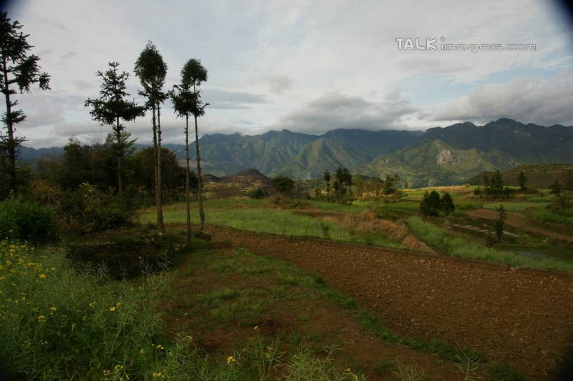 无人,横图,室外,白天,正面,旅游,度假,草地,草坪,美景,山,山脉,植物,中国,亚洲,景观,山峰,云,云朵,山峦,云彩,娱乐,浙江,草,树,树木,浙江省,蓝色,绿色,白云,蓝天,天空,自然,群山,天,享受,休闲,景色,放松,生长,晴朗,成长,自然风光,东亚,永嘉,中华人民共和国,华东地区,浙,茗岙,温州,温州市,晴空,彩图,茗岙乡,永嘉县,shzyn1