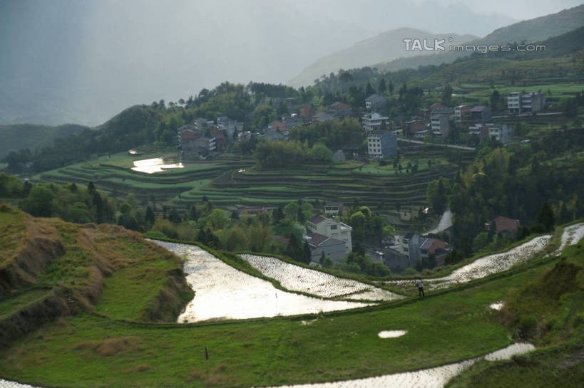 无人,农田,横图,俯视,室外,白天,旅游,度假,农业,庄稼,梯田,农作物,草地,草坪,美景,山,山脉,植物,中国,亚洲,曲折,弯曲,稻田,景观,山峰,山峦,娱乐,浙江,草,树,树木,浙江省,绿色,天空,自然,群山,天,享受,休闲,景色,放松,蜿蜒,生长,成长,自然风光,东亚,永嘉,中华人民共和国,华东地区,浙,茗岙,温州,温州市,彩图,高角度拍摄,耕地,庄稼田,茗岙乡,永嘉县,shzyn1