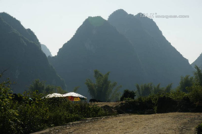 无人,横图,室外,白天,正面,旅游,度假,美景,森林,山,山脉,树林,植物,中国,亚洲,阴影,光线,影子,景观,山峰,山峦,娱乐,树,树木,蓝色,绿色,蓝天,天空,阳光,自然,群山,天,享受,休闲,景色,放松,生长,晴朗,成长,广西,自然风光,东亚,万里无云,德天瀑布,广西壮族自治区,德天跨国大瀑布,中华人民共和国,桂,华南地区,崇左,崇左市,大新,大新县,硕龙镇,晴空,晴空万里,彩图,shzyn1