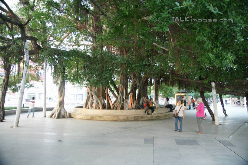 东方人,走,横图,室外,白天,正面,度假,美景,树林,植物,城市风光,城市,道路,路,中国,亚洲,行人,游客,游人,服装,景观,小路,交通,许多人,休闲装,黄种人,娱乐,路人,旅客,树,树木,衣服,绿色,自然,一群人,享受,休闲,休闲服,景色,放松,服饰,生长,成长,广西,东亚,北海,广西壮族自治区,中华人民共和国,桂,华南地区,北海市,过客,男人,男性,年轻男性,年轻女性,女人,女性,亚洲人,步行,散步,走路,彩图,全身,shzyn1