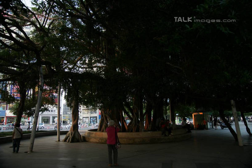 东方人,走,横图,室外,白天,正面,度假,美景,树林,植物,城市风光,城市,道路,路,中国,亚洲,行人,游客,游人,服装,景观,小路,交通,许多人,休闲装,黄种人,娱乐,路人,旅客,树,树木,衣服,绿色,自然,一群人,享受,休闲,休闲服,景色,放松,服饰,生长,成长,广西,东亚,北海,广西壮族自治区,中华人民共和国,桂,华南地区,北海市,过客,男人,男性,年轻男性,年轻女性,女人,女性,亚洲人,步行,散步,走路,彩图,全身,shzyn1