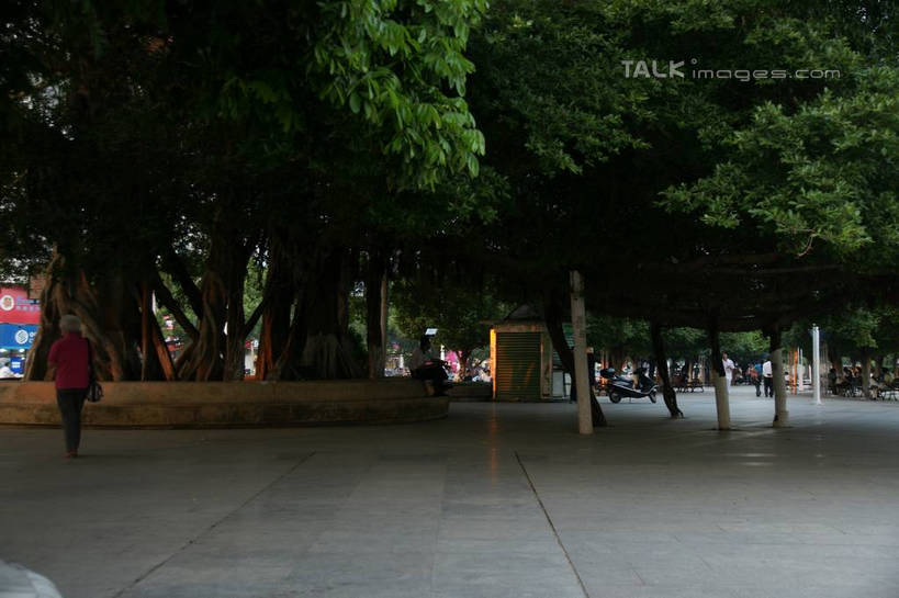 东方人,走,横图,室外,白天,正面,度假,美景,树林,植物,城市风光,城市,道路,路,中国,亚洲,行人,游客,游人,服装,景观,小路,交通,许多人,休闲装,黄种人,娱乐,路人,旅客,树,树木,衣服,绿色,自然,一群人,享受,休闲,休闲服,景色,放松,服饰,生长,成长,广西,东亚,北海,广西壮族自治区,中华人民共和国,桂,华南地区,北海市,过客,男人,男性,年轻男性,年轻女性,女人,女性,亚洲人,步行,散步,走路,彩图,全身,shzyn1