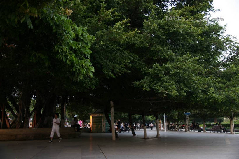 东方人,走,横图,室外,白天,正面,度假,美景,树林,植物,城市风光,城市,道路,路,中国,亚洲,行人,游客,游人,服装,景观,小路,交通,许多人,休闲装,黄种人,娱乐,路人,旅客,树,树木,衣服,绿色,自然,一群人,享受,休闲,休闲服,景色,放松,服饰,生长,成长,广西,东亚,北海,广西壮族自治区,中华人民共和国,桂,华南地区,北海市,过客,男人,男性,年轻男性,年轻女性,女人,女性,亚洲人,步行,散步,走路,彩图,全身,shzyn1