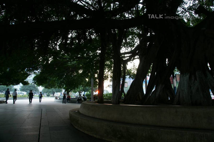 东方人,走,横图,室外,白天,正面,度假,美景,树林,植物,城市风光,城市,道路,路,中国,亚洲,行人,游客,游人,服装,景观,小路,交通,许多人,休闲装,黄种人,娱乐,路人,旅客,树,树木,衣服,绿色,自然,一群人,享受,休闲,休闲服,景色,放松,服饰,生长,成长,广西,东亚,北海,广西壮族自治区,中华人民共和国,桂,华南地区,北海市,过客,男人,男性,年轻男性,年轻女性,女人,女性,亚洲人,步行,散步,走路,彩图,全身,shzyn1