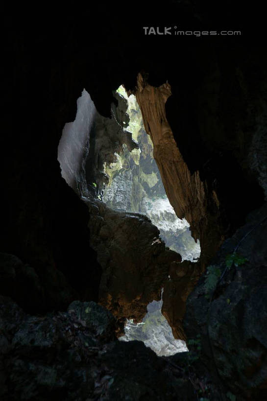 无人,竖图,室内,白天,正面,旅游,度假,石头,美景,峡谷,植物,中国,亚洲,阴影,光线,石子,影子,洞,景观,山谷,娱乐,树,树木,绿色,阳光,自然,享受,休闲,景色,放松,洞穴,生长,成长,广西,岩层,自然风光,东亚,穴,广西壮族自治区,中华人民共和国,桂,华南地区,百色,百色市,石块,岩石,彩图,湖润镇,靖西县,通灵大峡谷,新灵村,shzyn1