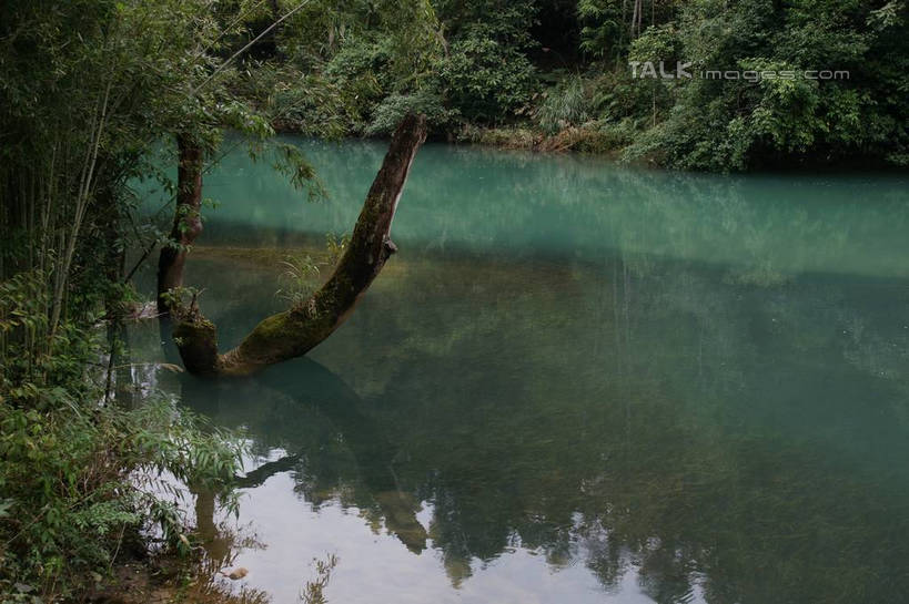 无人,横图,室外,白天,正面,旅游,度假,河流,美景,森林,树林,水,植物,中国,亚洲,河水,景观,水流,娱乐,树,树木,绿色,倒影,自然,享受,休闲,景色,放松,生长,成长,倒映,自然风光,东亚,贵州,贵州省,中华人民共和国,荔波大小七孔,黔,西南地区,黔南,黔南州,黔南布依族苗族自治州,反照,彩图,大小七孔,荔波,荔波县,荔波小七孔,shzyn1