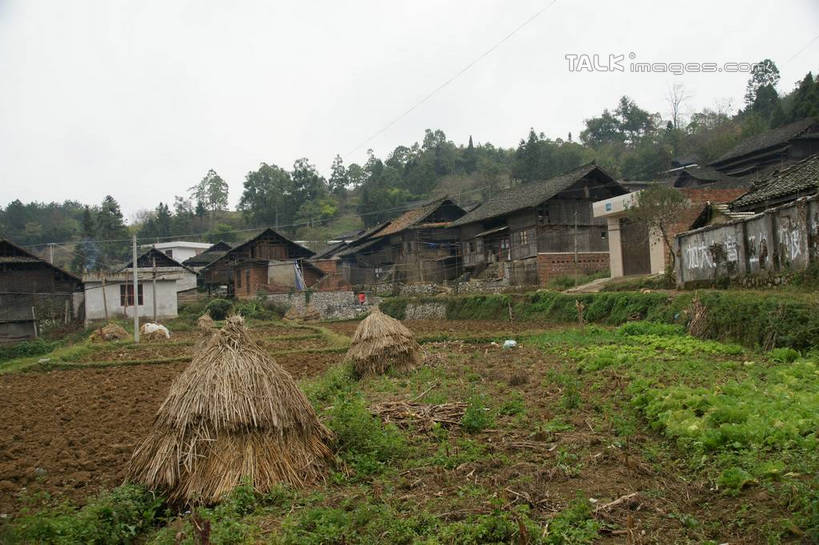 无人,家,横图,室外,白天,正面,旅游,度假,草地,草坪,美景,森林,山,山脉,树林,植物,中国,亚洲,房屋,屋子,景观,山峰,山峦,娱乐,楼房,住宅,草,树,树木,绿色,天空,自然,群山,天,享受,休闲,景色,放松,生长,成长,自然风光,东亚,贵州,贵州省,贵阳,中华人民共和国,省会,黔,西南地区,贵阳市,彩图,房子,shzyn1