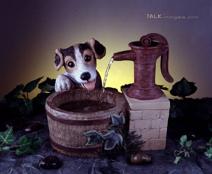 无人,横图,室内,白天,正面,机器,宠物,狗,叶子,工艺美术品,阴影,艺术,盛开,反射,木桶,桶,影子,池塘,水池,绿叶,艺术品,花蕾,注视,吐舌头,花,花瓣,花朵,鲜花,一只,动物,容器,工艺品,花苞,花蕊,观察,看,趴着,机械,嫩叶,可爱,摄影,影棚,观看,储藏,工艺,水泵,美术,察看,储存,关注,忠诚,舌头,叶,叶片,犬,趴,半身,彩图,影棚拍摄,拍摄,贮存,szzm1