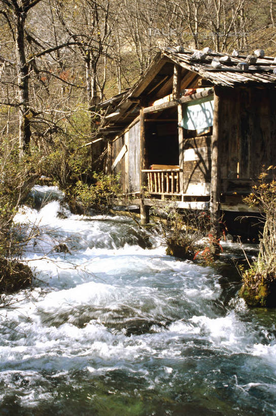 无人,家,木屋,竖图,室外,白天,正面,旅游,度假,河流,美景,森林,树林,水,植物,九寨沟,中国,亚洲,飞溅,溅,液体,河水,景观,水滴,水流,娱乐,住宅,水珠,树,树木,绿色,自然,享受,休闲,景色,放松,四川省,生长,成长,喷洒,自然风光,东亚,四川,阿坝,中华人民共和国,西南地区,阿坝藏族羌族自治州,阿坝州,川,九寨沟县,九寨沟风景名胜区,漳扎镇,彩图,茅舍,茅屋,棚屋,小木屋,小屋,九寨沟风景区,四川九寨沟风景名胜区,szzm1