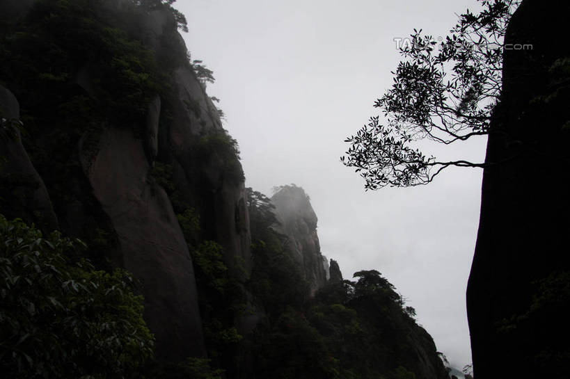 无人,横图,室外,白天,正面,旅游,度假,美景,山,山脉,树林,植物,雾,三清山,中国,亚洲,阴影,朦胧,模糊,光线,影子,景观,山峰,悬崖,云海,山峦,娱乐,江西,树,树木,绿色,天空,阳光,自然,群山,天,享受,休闲,石壁,景色,放松,生长,成长,迷雾,自然风光,东亚,江西省,中华人民共和国,华东地区,赣,上饶,上饶市,大雾,彩图,tascy1