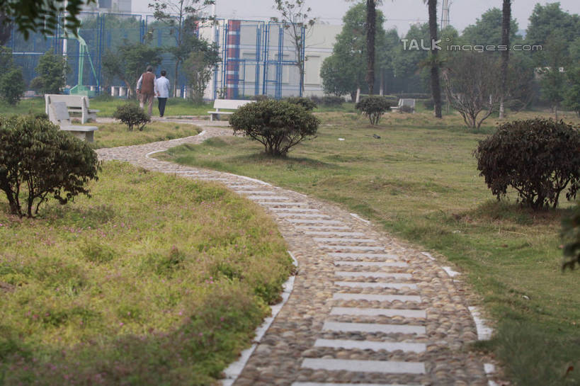 东方人,老年人,两个人,家庭,夫妻,家,走,横图,室外,白天,爱情,草地,草坪,石头,树林,植物,道路,路,公路,亚洲,许多,阴影,服装,光线,石子,影子,房屋,屋子,石板,交通,浪漫,休闲装,黄种人,楼房,石板路,住宅,草,树,树木,排列,背面,衣服,绿色,阳光,自然,休闲,温暖,温馨,一家人,休闲服,鹅卵石,恩爱,恋人,服饰,生长,成长,和睦,队列,按摩石,老年男性,老年女性,男人,男性,女人,女性,亚洲人,夫妇,情侣,石块,马路,步行,散步,走路,彩图,全身,房子,伴侣,融洽,tascy1