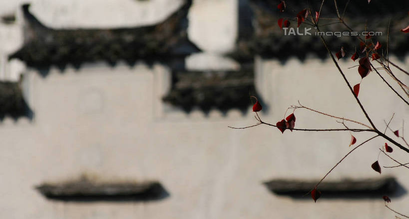 无人,横图,室外,白天,正面,旅游,度假,黄山,名胜古迹,秋季,植物,标志建筑,地标,建筑,叶子,西递,中国,亚洲,阴影,朦胧,模糊,遗迹,光线,瓦片,影子,墙,屋檐,建筑群,枯叶,落叶,枝条,古迹,文物,娱乐,建设,古建筑,檐,墙壁,墙面,树,树木,树枝,红色,蓝色,灰色,蓝天,天空,阳光,天,享受,休闲,旅游胜地,放松,晴朗,古文明,东亚,安徽,安徽省,黄山市,黟县,万里无云,中华人民共和国,华东地区,皖,虬枝,枝杈,西递村,叶,叶片,晴空,晴空万里,秋,秋天,彩图,yzdzj1