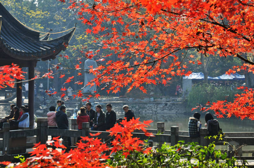 东方人,栏杆,横图,室外,白天,正面,旅游,度假,湖,湖泊,美景,秋季,水,植物,枫树,叶子,雕塑,南京,中国,亚洲,行人,游客,游人,阴影,朦胧,模糊,艺术,装饰,光线,雕刻,雕像,瓦片,影子,亭子,屋顶,屋檐,湖面,景观,水流,水面,围栏,枫叶,枯叶,落叶,枝条,许多人,顶棚,黄种人,娱乐,江苏,护栏,檐,路人,旅客,树,树木,树枝,黄色,红色,阳光,自然,工艺品,湖水,一群人,享受,休闲,景色,放松,生长,成长,纪念,枫树叶,美术,自然风光,主题,陈列,东亚,江苏省,南京市,中华人民共和国,华东地区,苏,省会,功能,美学,虬枝,枝杈,过客,栖霞山,男人,男性,年轻男性,年轻女性,女人,女性,亚洲人,石头城,叶,叶片,秋,秋天,半身,彩图,yzdzj1