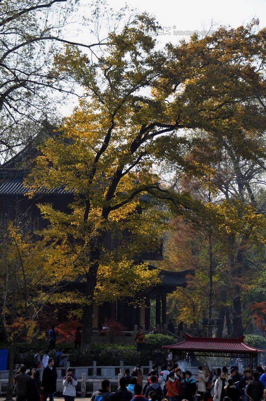 东方人,寺庙,栏杆,走,竖图,室外,白天,正面,旅游,度假,名胜古迹,秋季,植物,标志建筑,地标,建筑,南京,中国,亚洲,行人,游客,游人,阴影,节日,遗迹,光线,瓦片,香炉,影子,柱子,屋顶,屋檐,围栏,许多人,燃烧,顶棚,黄种人,古迹,文化,文物,娱乐,建设,古建筑,江苏,护栏,檐,路人,旅客,殿堂,树,树木,绿色,阳光,自然,香火,庙宇,祈祷,一群人,享受,休闲,健康,旅游胜地,放松,许愿,宗教,信仰,生长,成长,纪念,祈求,祭奠,祭祀,祭坛,古文明,东亚,江苏省,南京市,中华人民共和国,华东地区,苏,省会,敬拜,过客,栖霞寺,栖霞山,平安,男人,男性,年轻男性,年轻女性,女人,女性,亚洲人,石头城,秋,秋天,步行,散步,走路,半身,彩图,庙,寺,yzdzj1